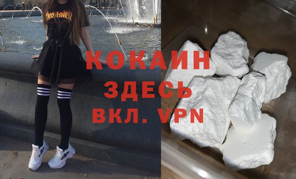 шишки Аркадак