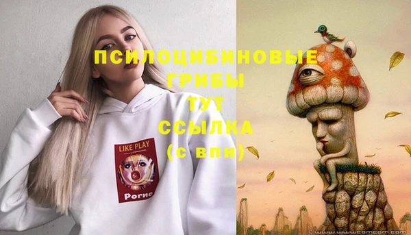 ПСИЛОЦИБИНОВЫЕ ГРИБЫ Армянск