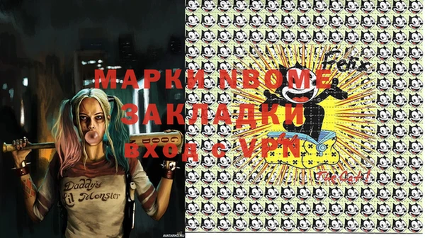 шишки Аркадак